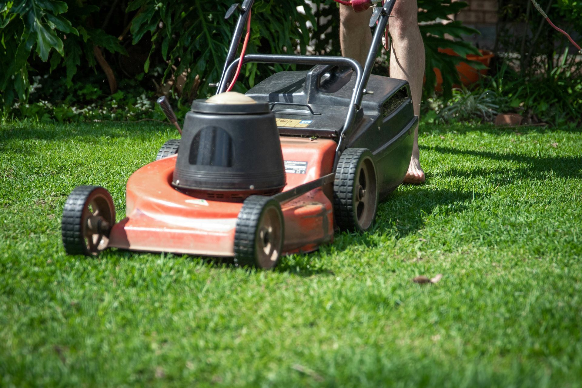 Lawnmower on green grass, being pushed by a person in a backyard.