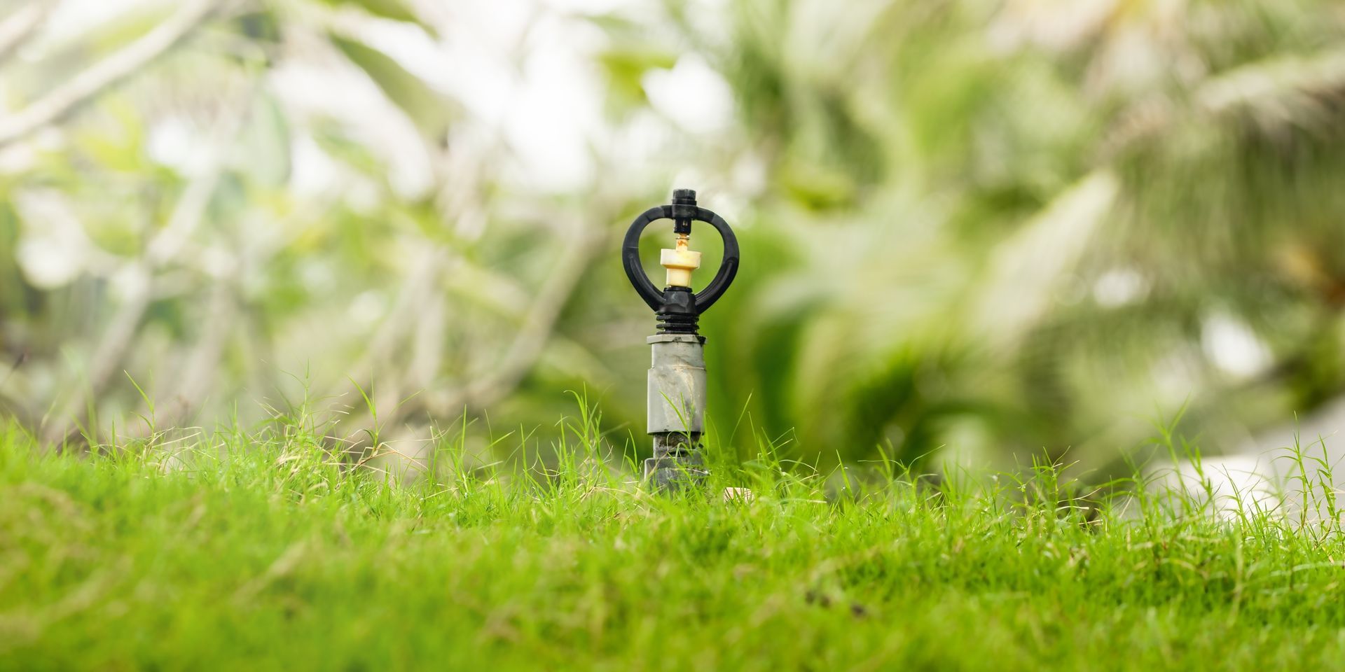A sprinkler in a grassy yard waters plants, with a blurred background of green foliage.
