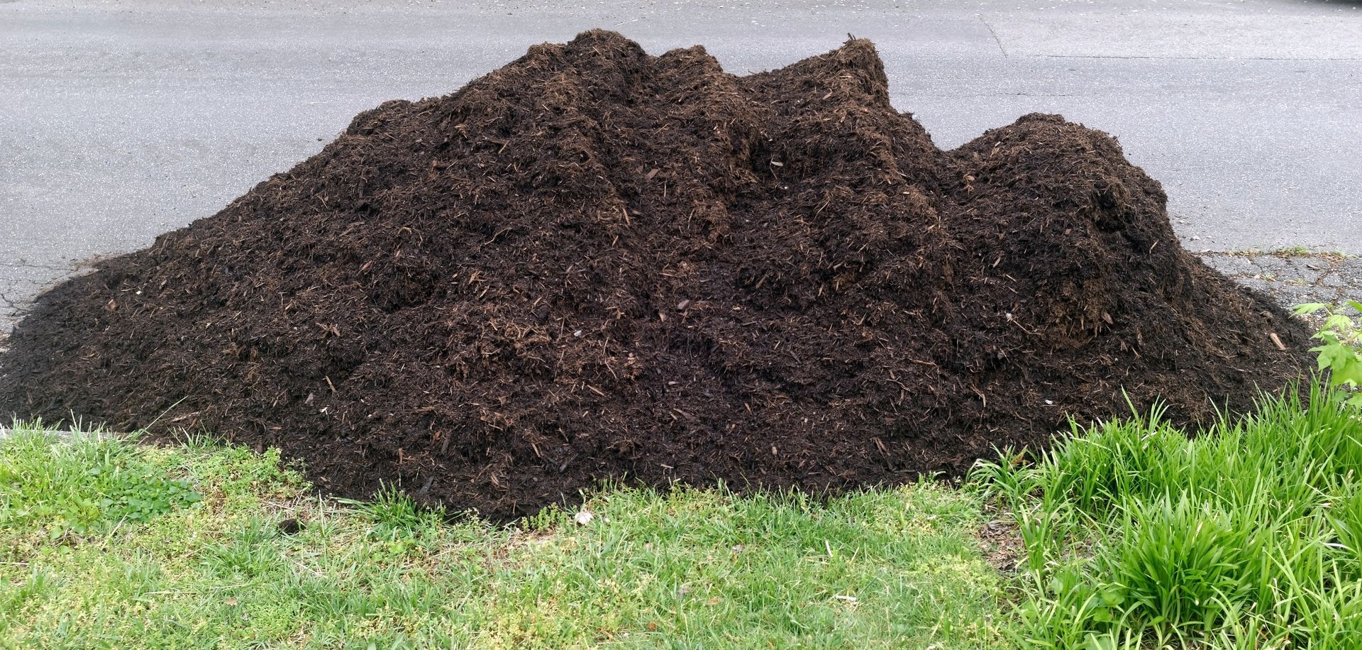 A large pile of dark brown mulch sits on grass next to a gray pavement.
