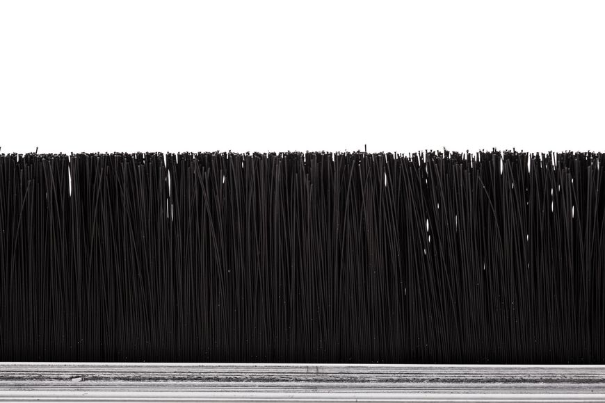 Black vertical bristles or lines above a gray striped base, resembling a brush or dense fringe.