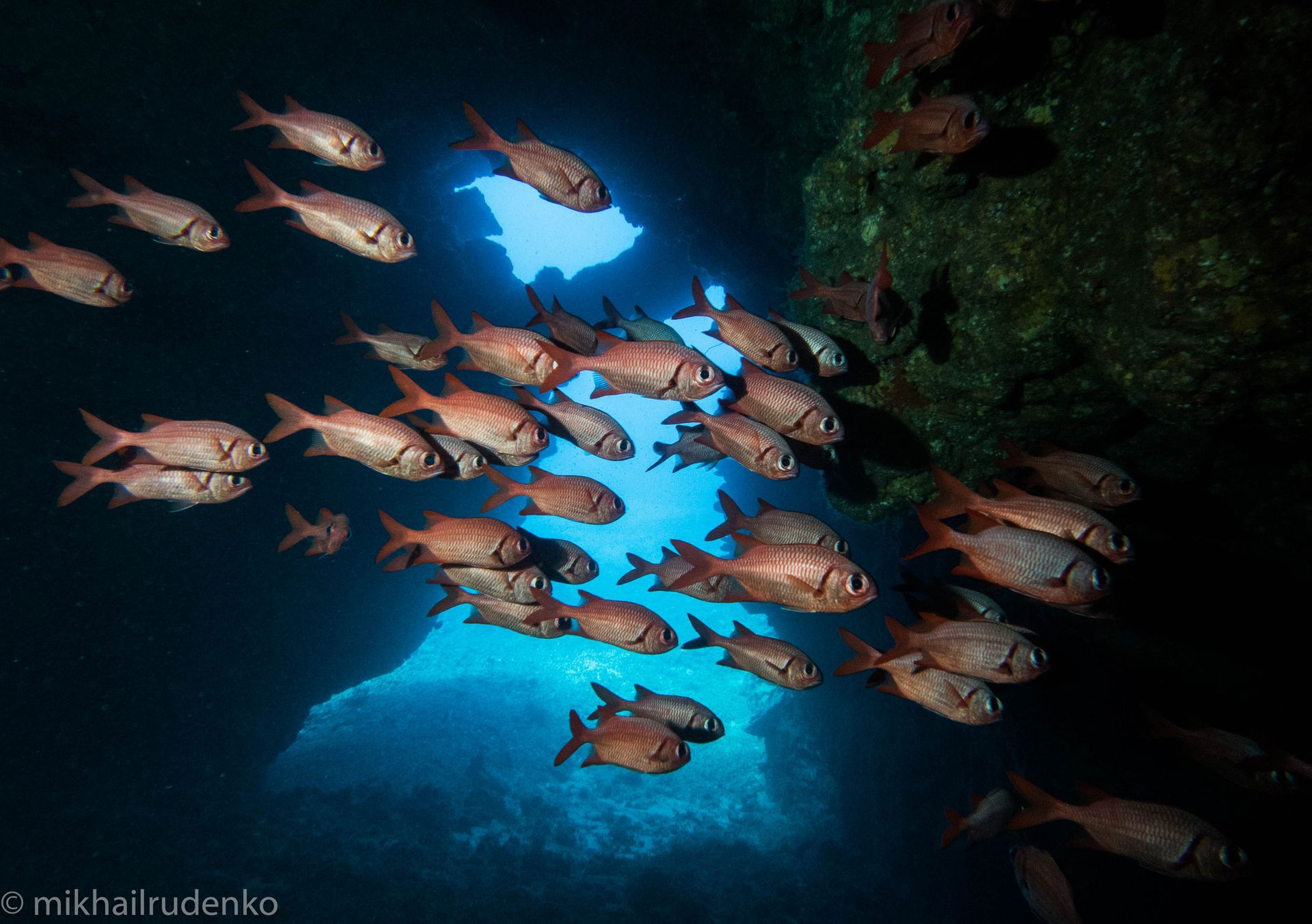 School of fish swimming through a bright blue underwater opening in a dark cave