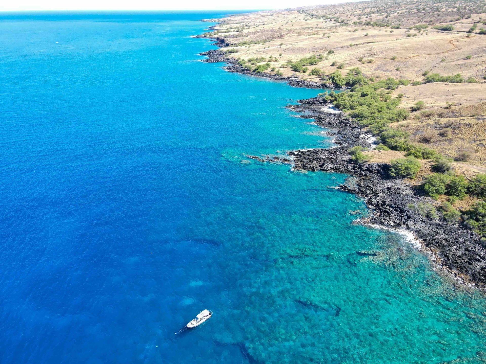 Aerial view of the Kohala Coast