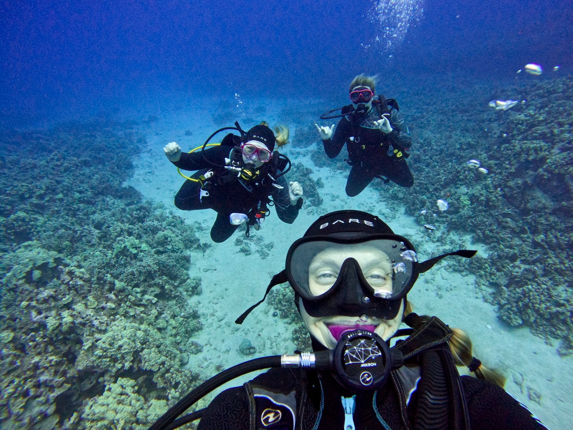 Scuba diver admiring a school of beautiful Hawaiian fish