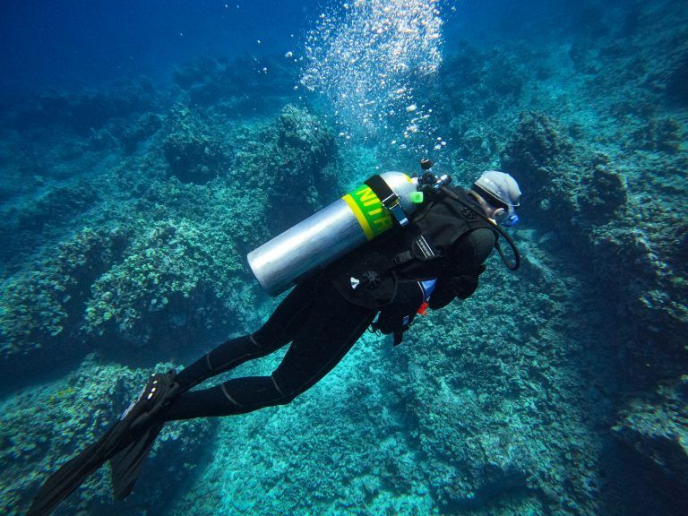 a scuba diver is swimming in the ocean near a coral reef