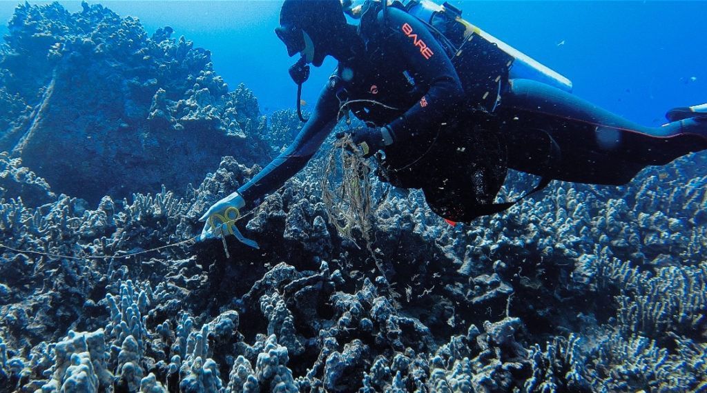 a scuba diver is holding a large net in the ocean