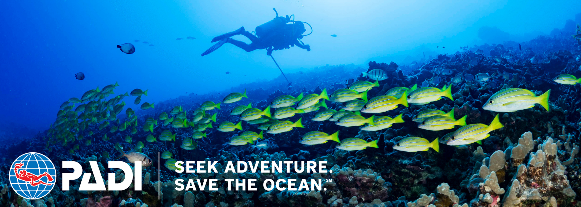 an advertisement for padi seeks adventure save the ocean