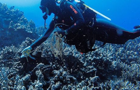 a scuba diver is wearing a bare wetsuit