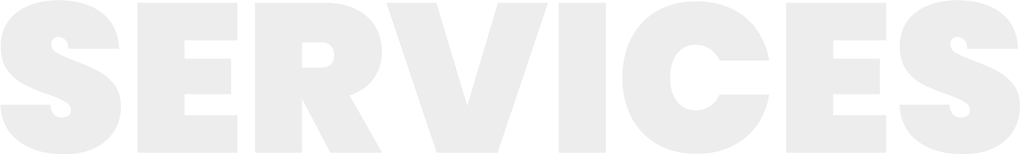 Large white “SERVICES” text on a light background
