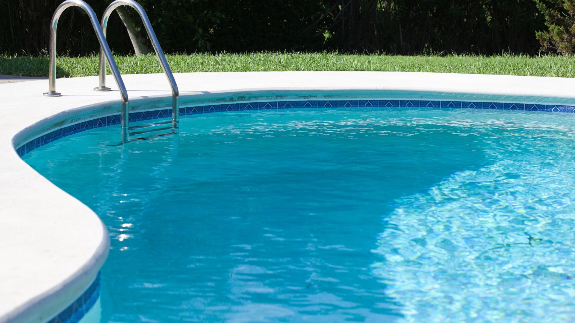 Swimming pool with clear blue water and ladder, sunny outdoor setting. — BB & F Constructions Pty Ltd In Taree, NSW