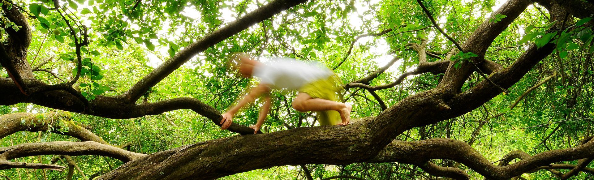 Ein Mann klettert barfuß auf einem Baum.