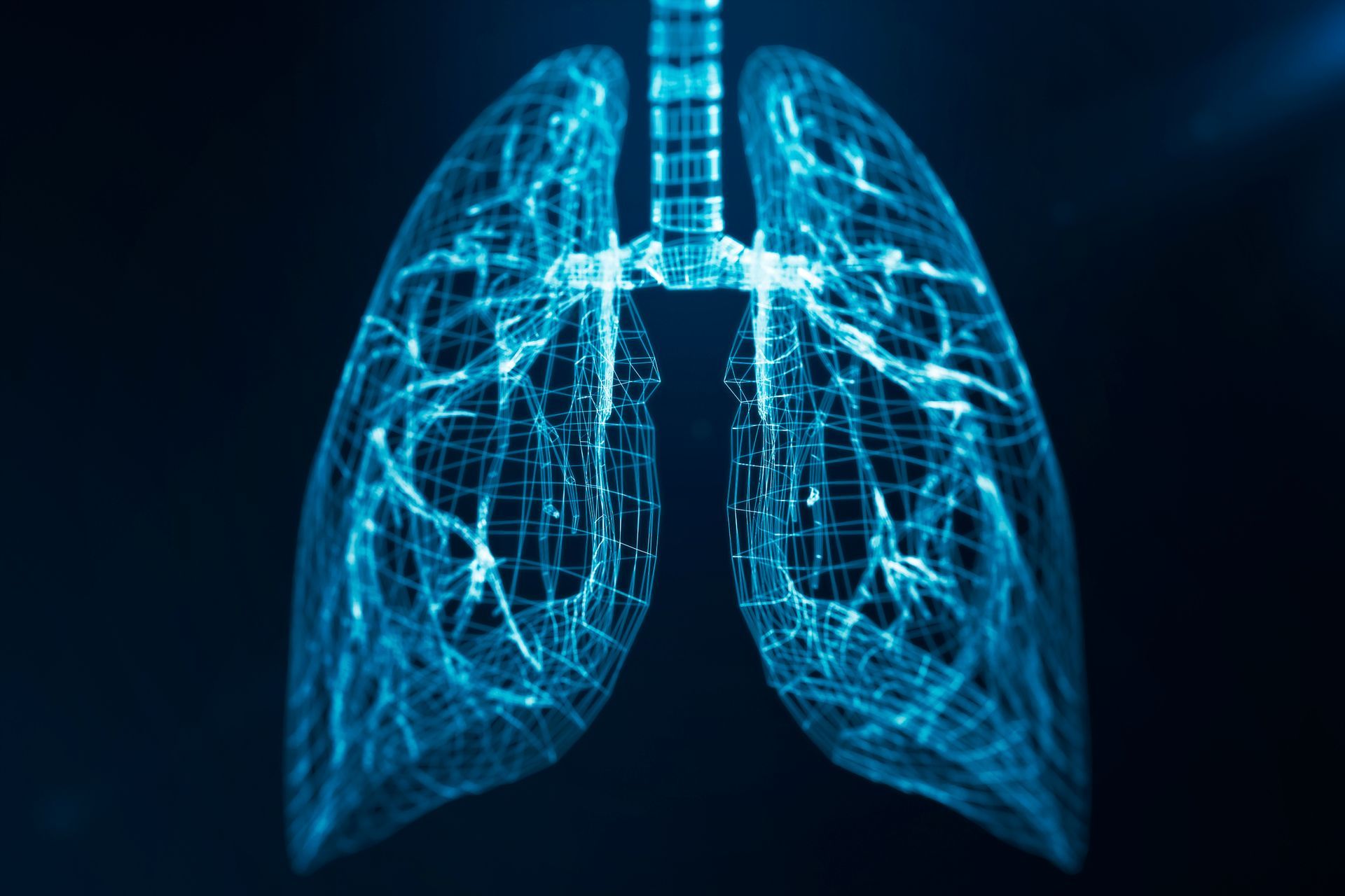 A Computer Generated Image of A Person's Lungs.