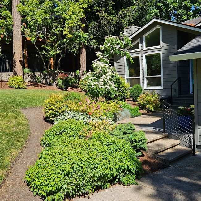 Stone retaining wall around a dirt garden bed in a sunny backyard