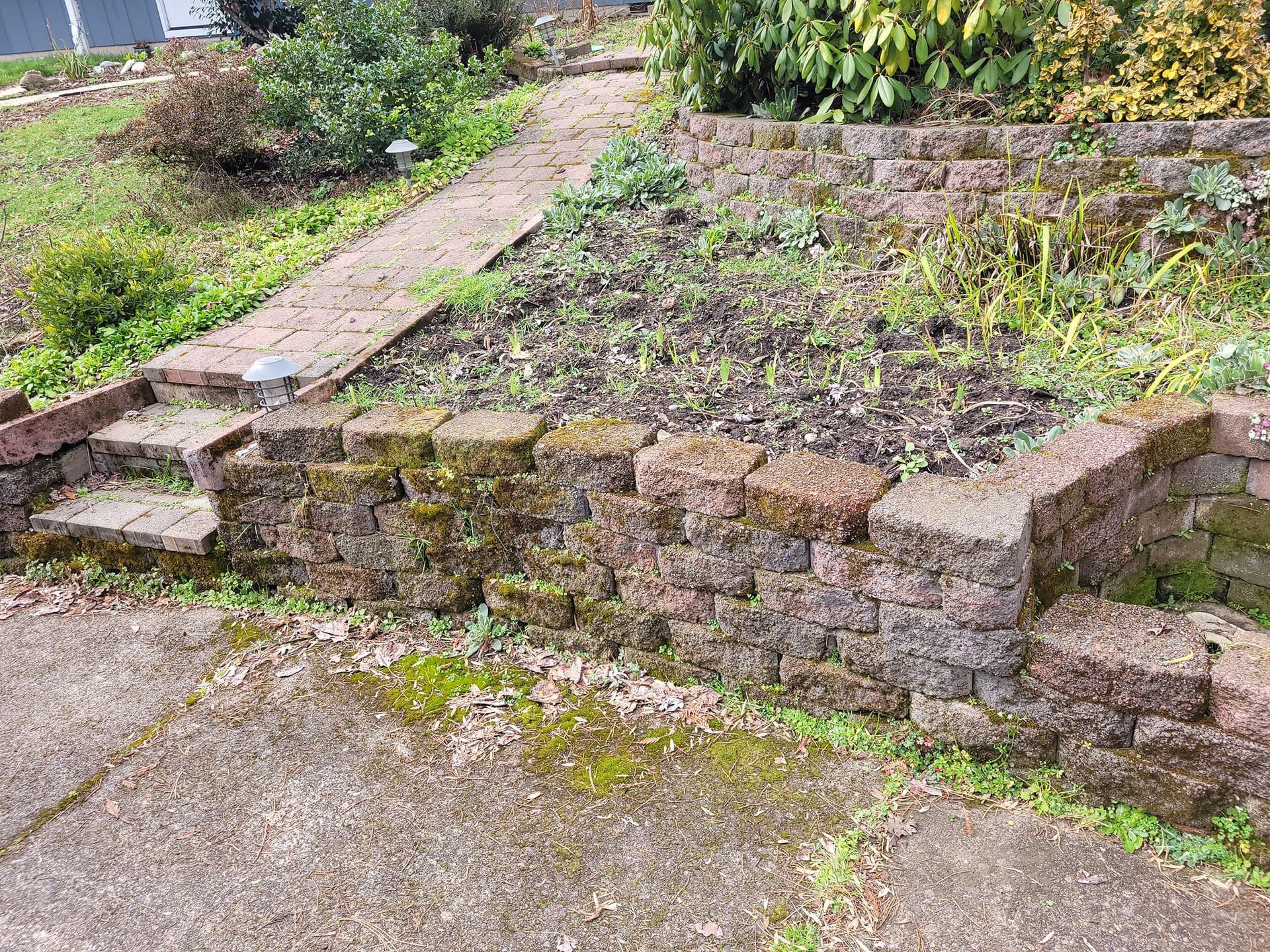 Stone garden retaining wall with steps, bordered by a narrow path and sparse plants.