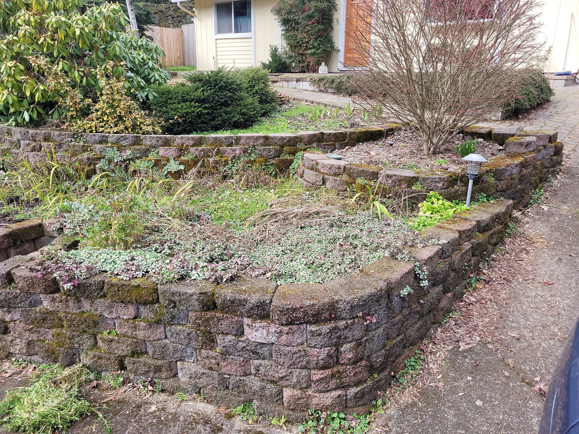 Terraced stone retaining wall with sparse plants beside a gravel driveway and house