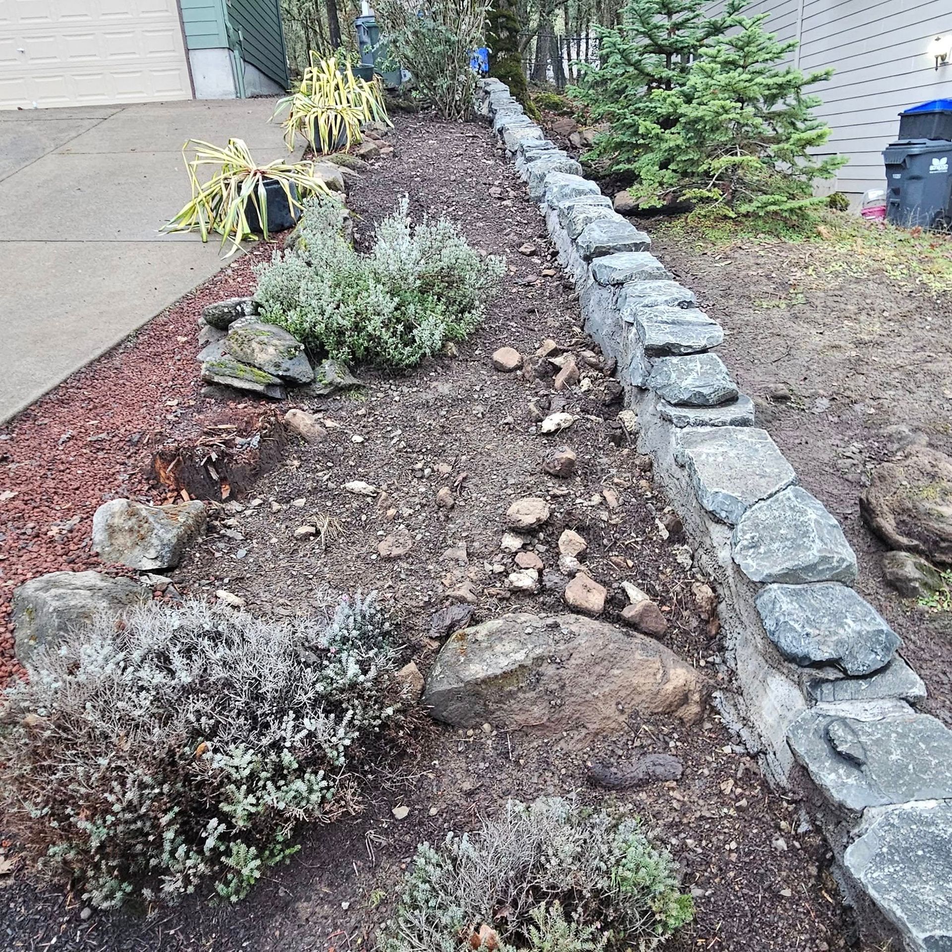 Rock garden bed with stones and shrubs beside a driveway and house siding