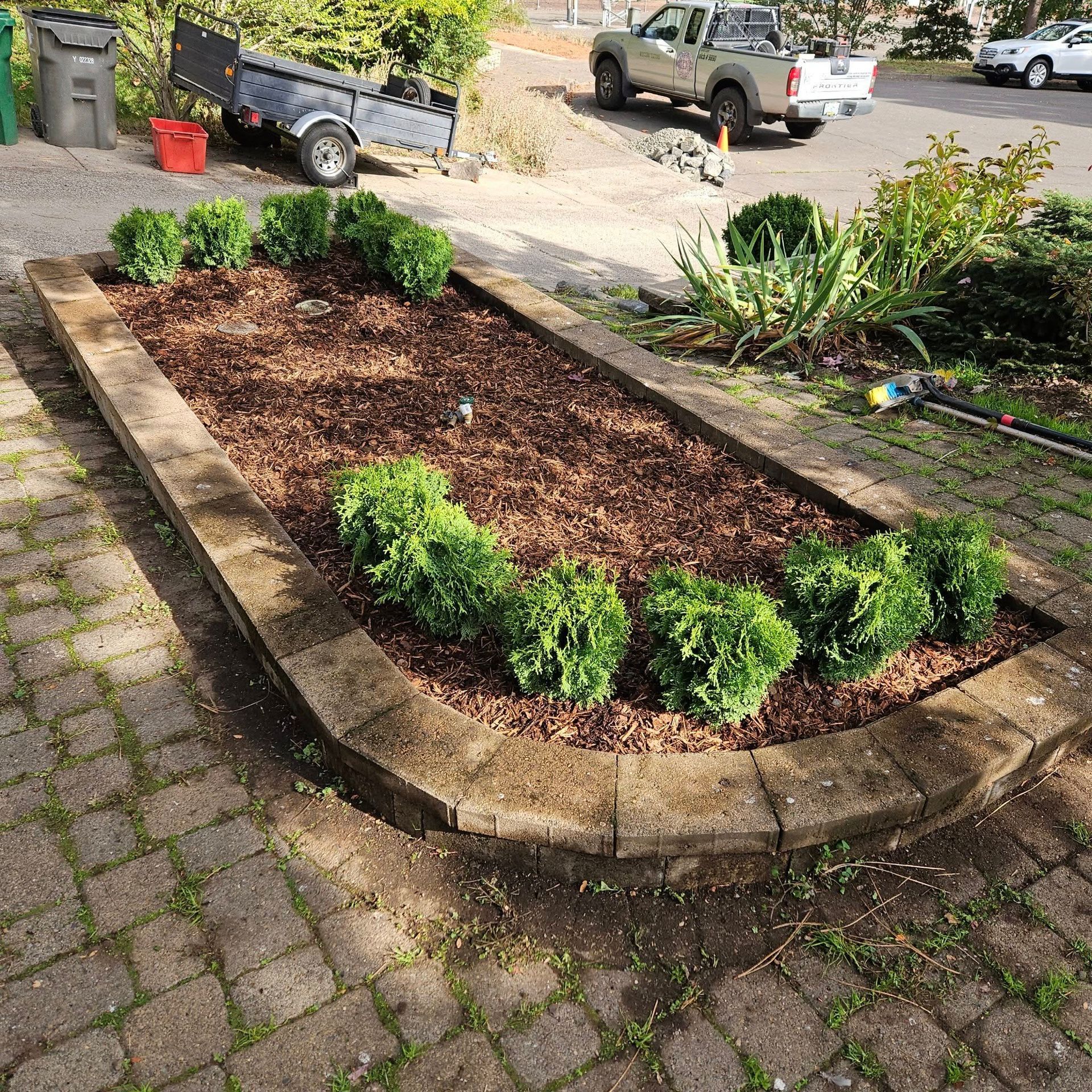 Freshly mulched garden bed with small shrubs, bordered by stone pavers beside a driveway and parked truck