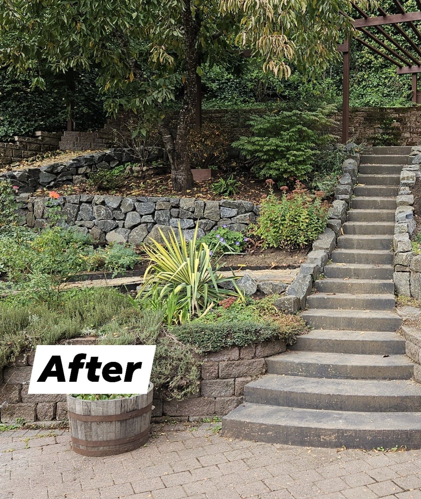 After: landscaped garden with stone steps, retaining wall, and potted plant on a gravel path