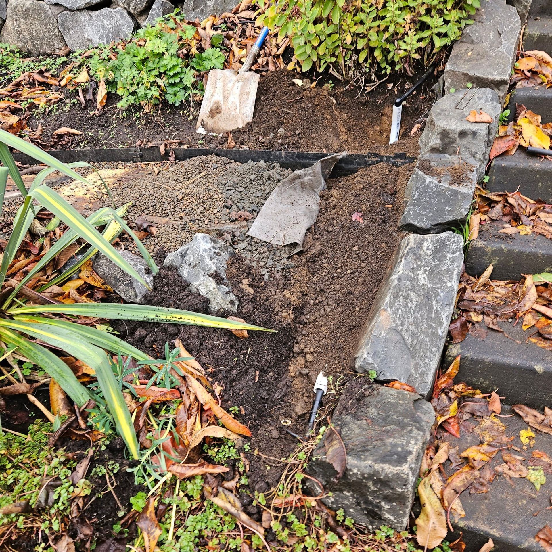 Garden bed with a narrow dirt trench, stone edging, and scattered autumn leaves.