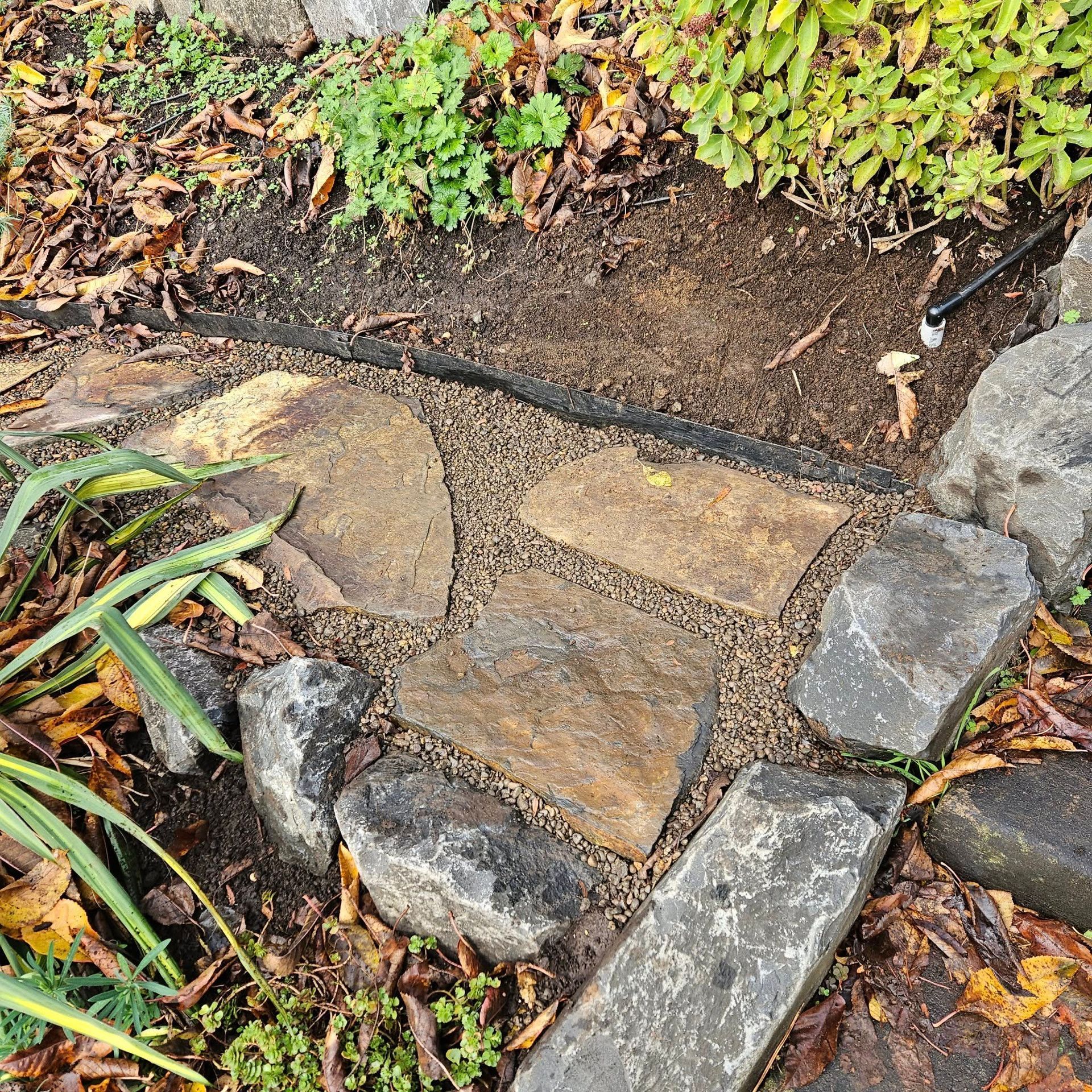 Stone garden path bordered by rocks and plants, with fallen leaves and soil.