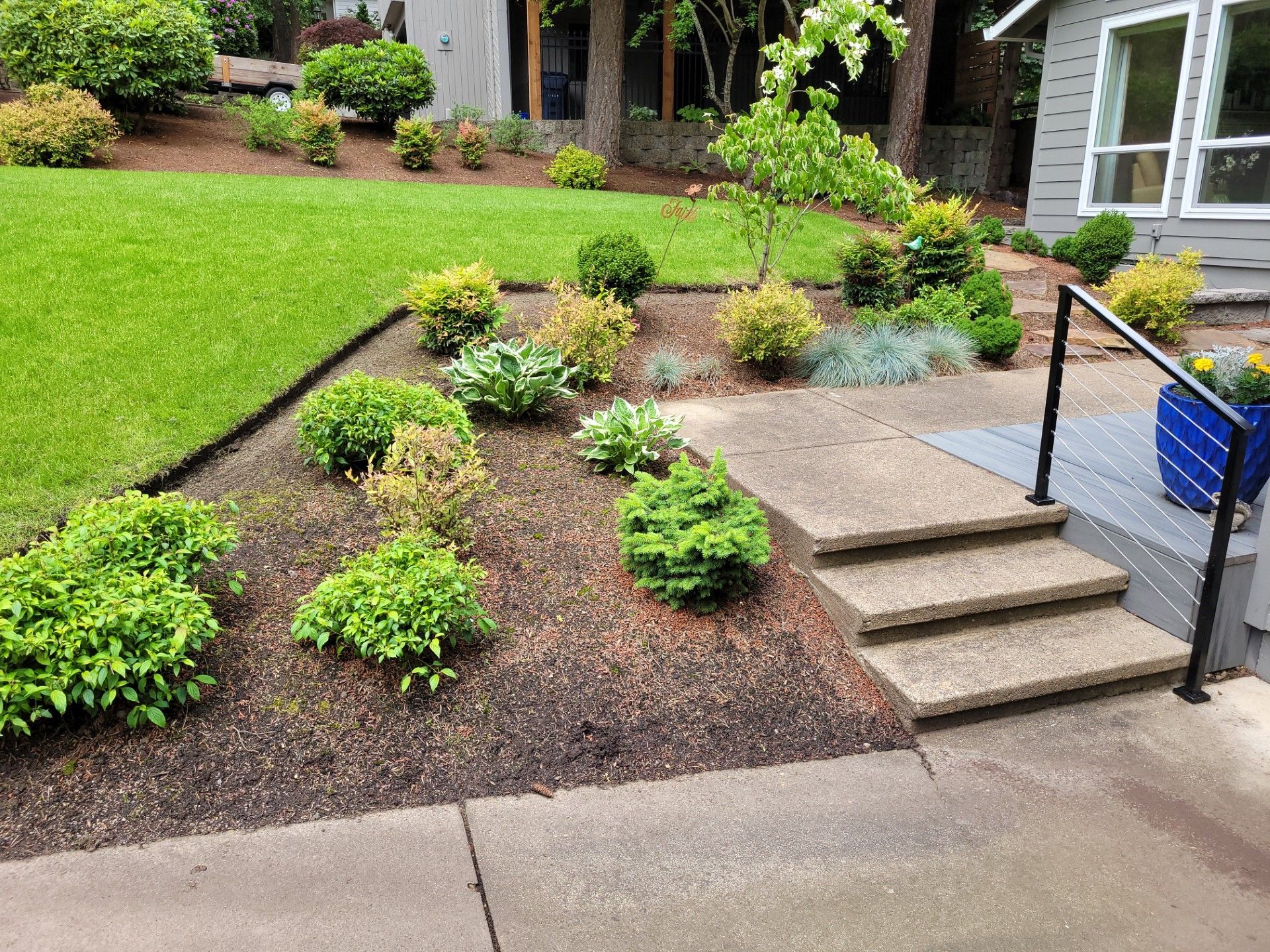 Front walkway with steps, landscaped shrubs, and a green lawn beside a house
