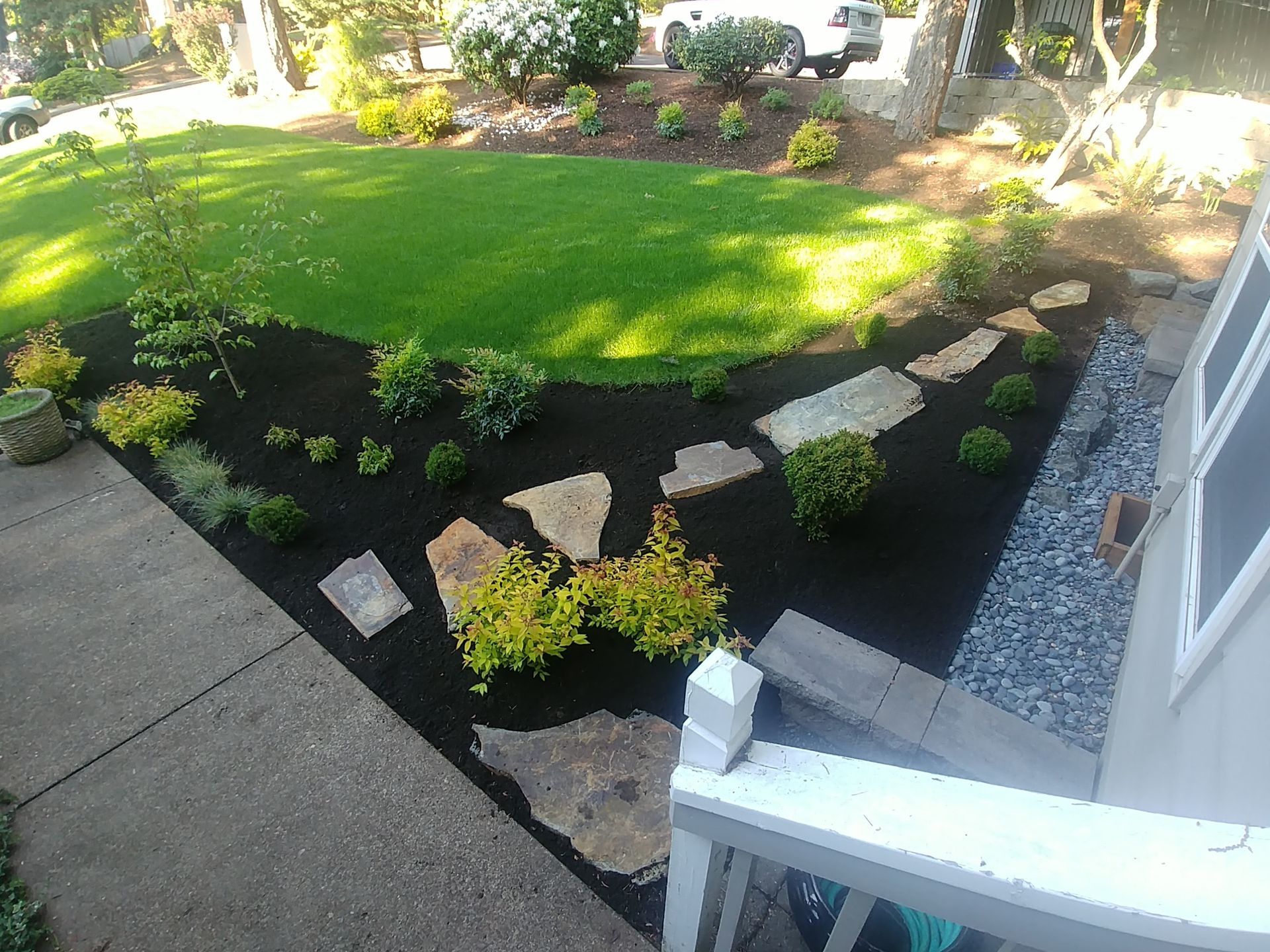 Front yard garden with green lawn, black mulch beds, and stone border beside a concrete walkway.