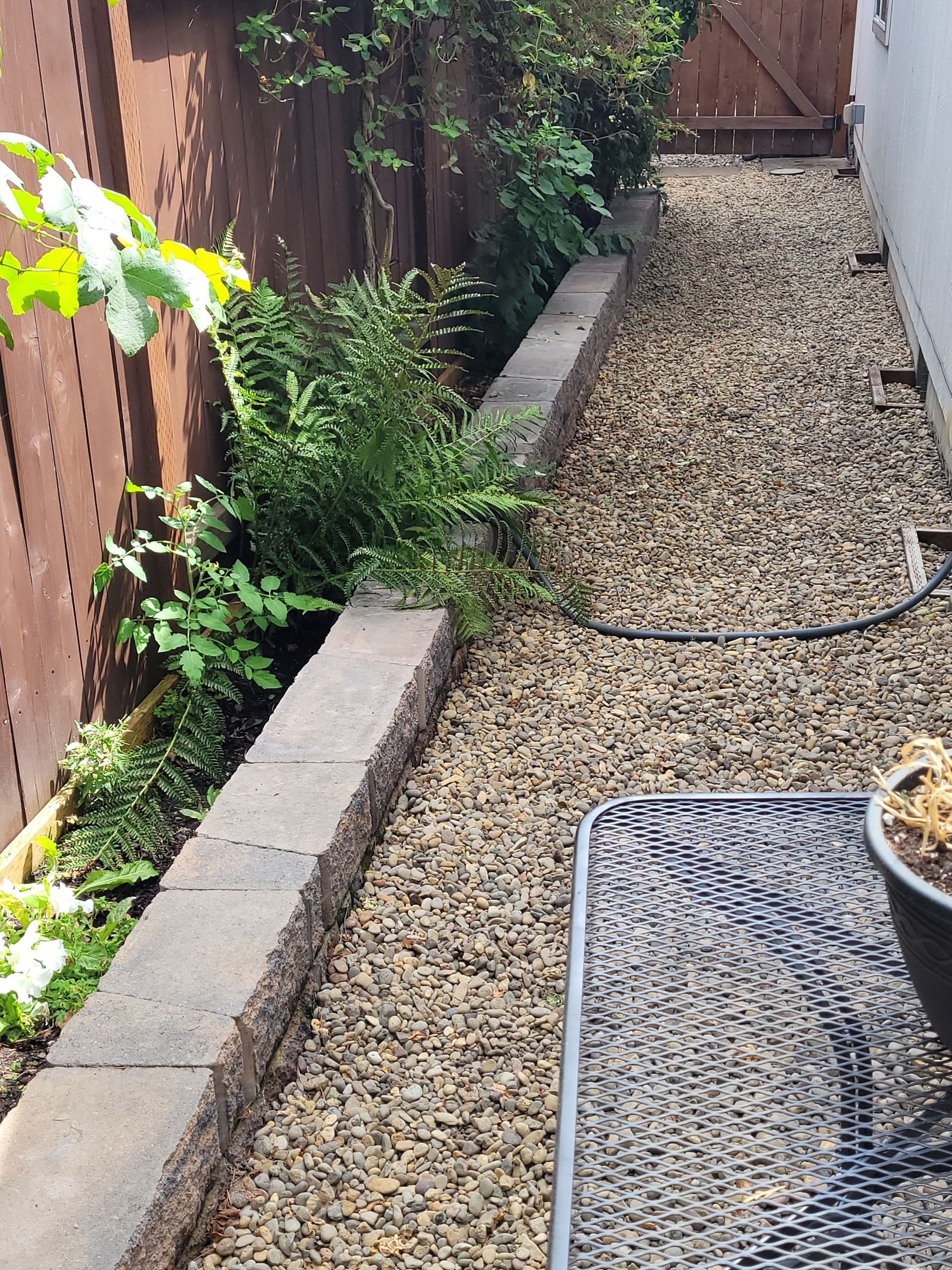 Narrow gravel side yard with raised brick edging, wooden fence, and lush green plants in the corner