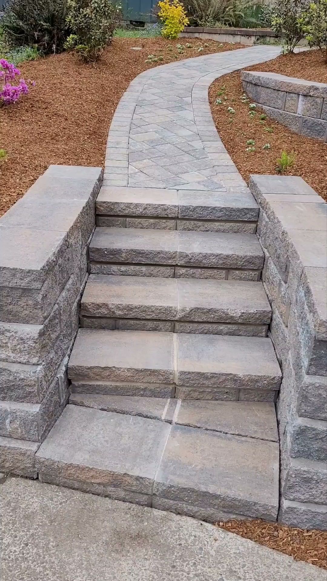 Stone steps leading to a curved paved path in a landscaped garden with mulch and shrubs