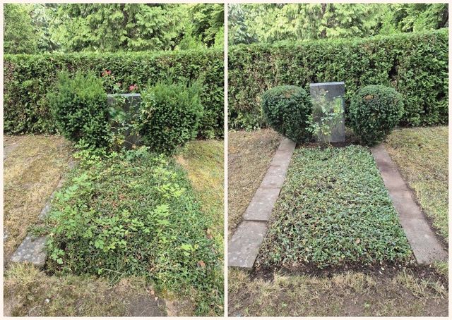 Grabpflege an Einzelgrabstelle auf Friedhof