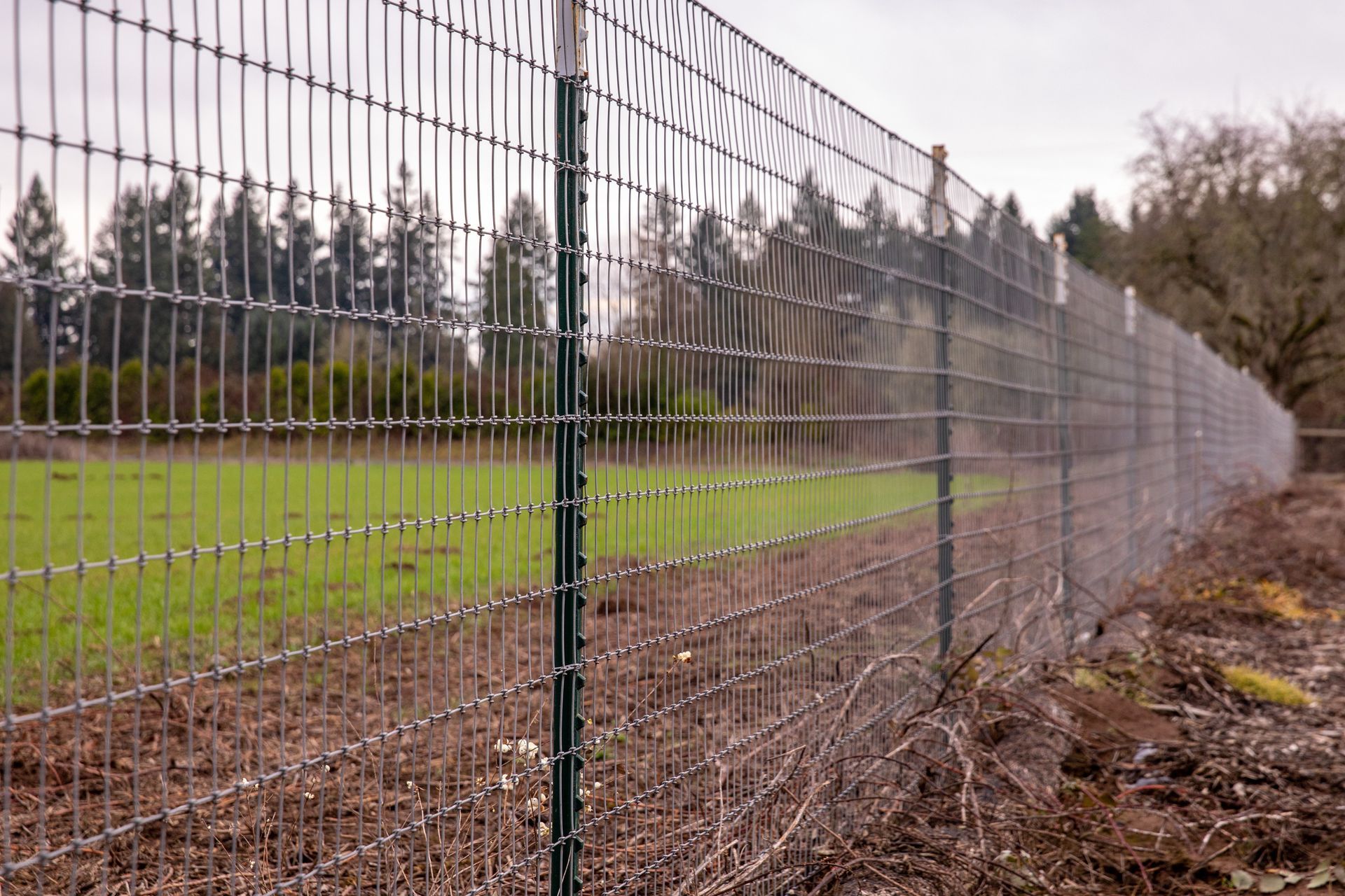 A long wire mesh fence supported by green metal posts runs alongside a grassy field and dirt path under a cloudy sky.