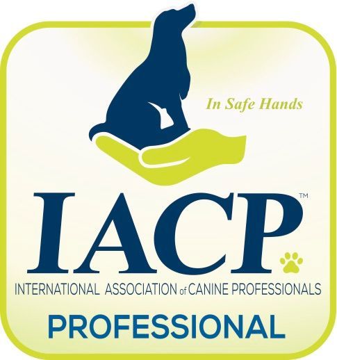 Dog Training Raleigh -  Wake Forest - Youngsville - Creedmoor