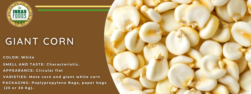 Primer plano de granos gigantes de maíz blanco. Fondo marrón con detalles del producto: color, aroma/sabor, apariencia, variedades y empaque.