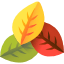 Tres hojas de otoño superpuestas: amarillas, rojas y verdes, dispuestas en un triángulo.
