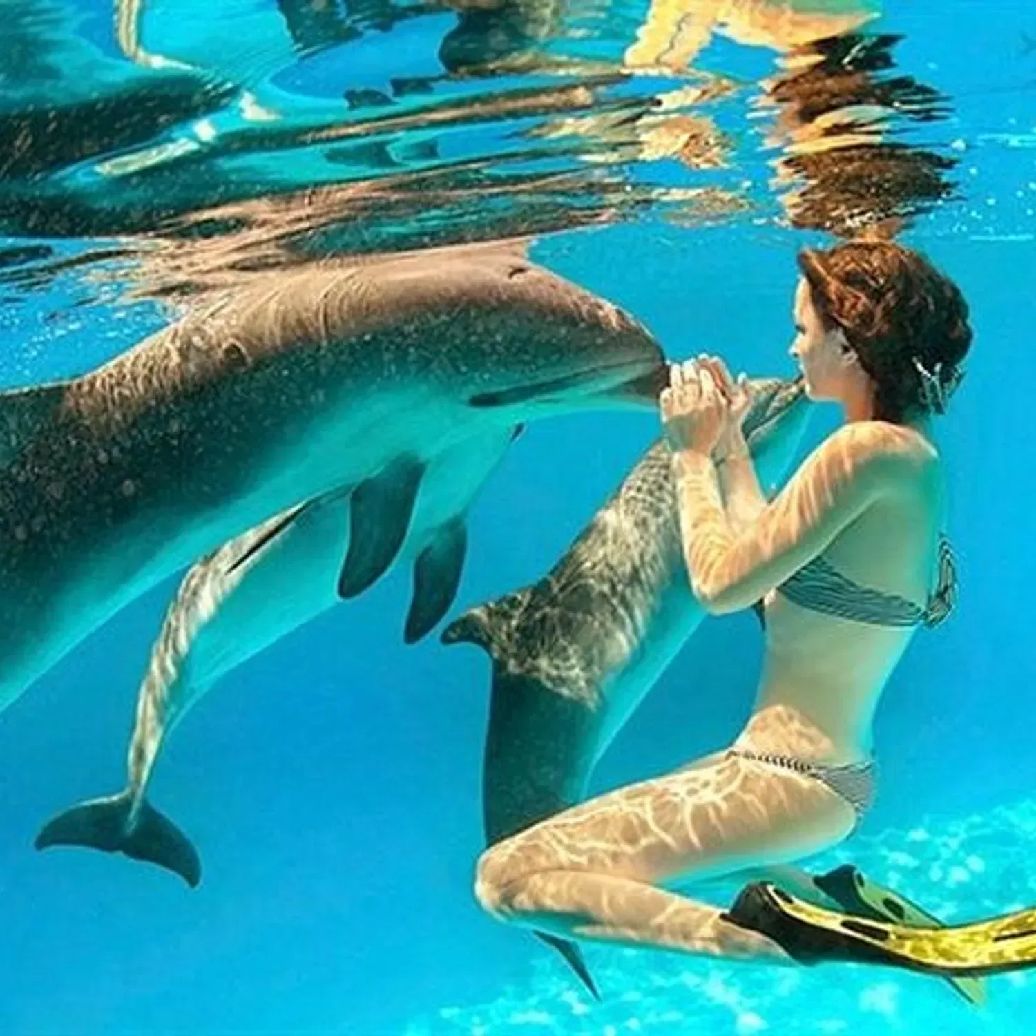 Snorkeling Day Trip With Dolphin at Sataya By VIP Boat-Marsa Alam