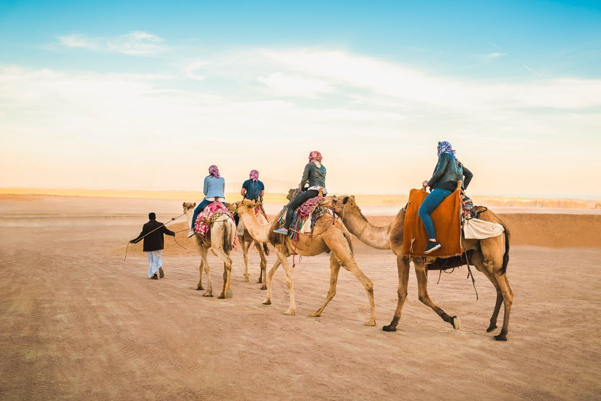 One Hour Camel Riding Adventure in Hurghada