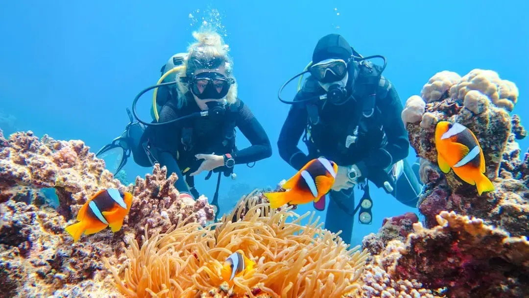 Diving And Snorkeling To Ras Mohamed And White Island By VIP Boat