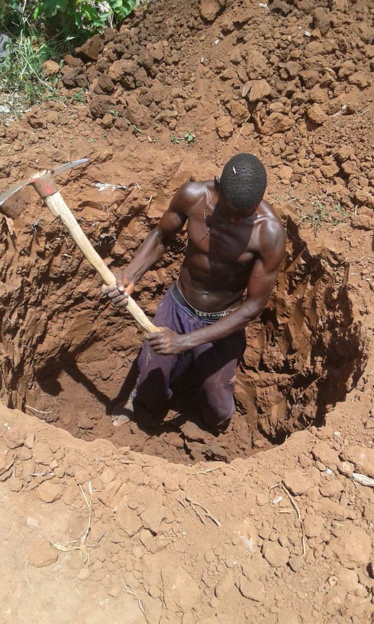 Man digging a hole with a pickaxe in brown soil, outdoors.