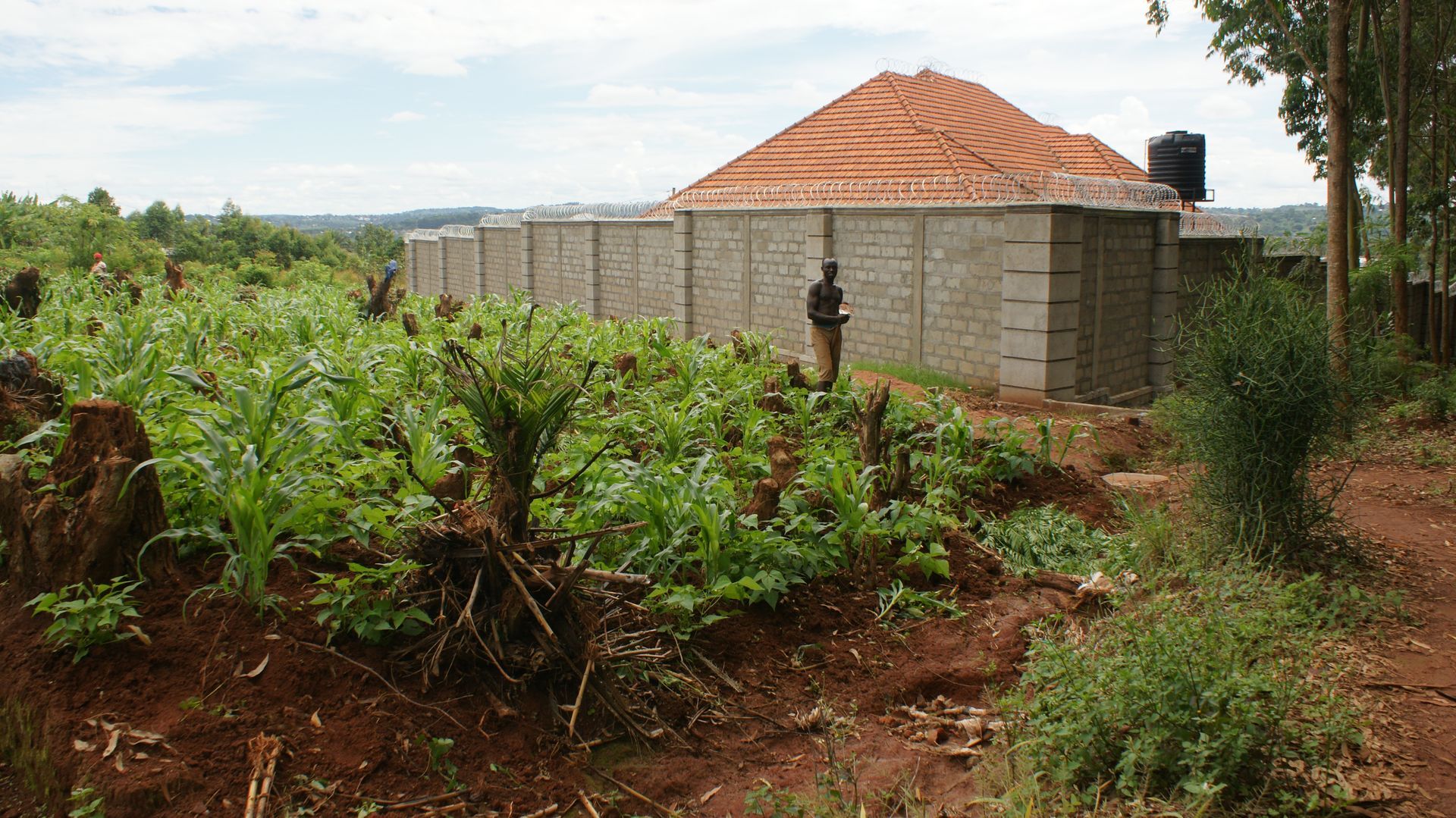 A building with a brick wall and red roof surrounded by green plants and a brown yard.