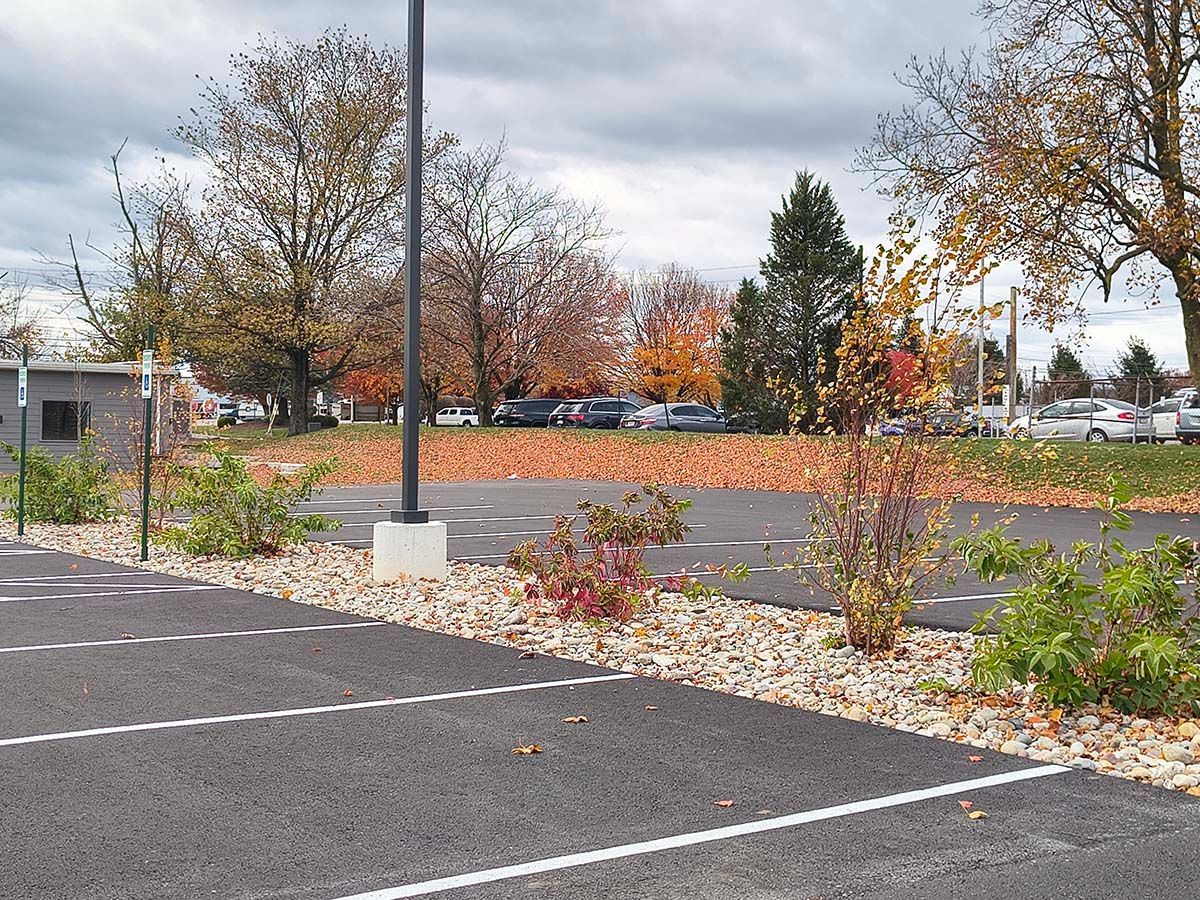 commercial landscaping