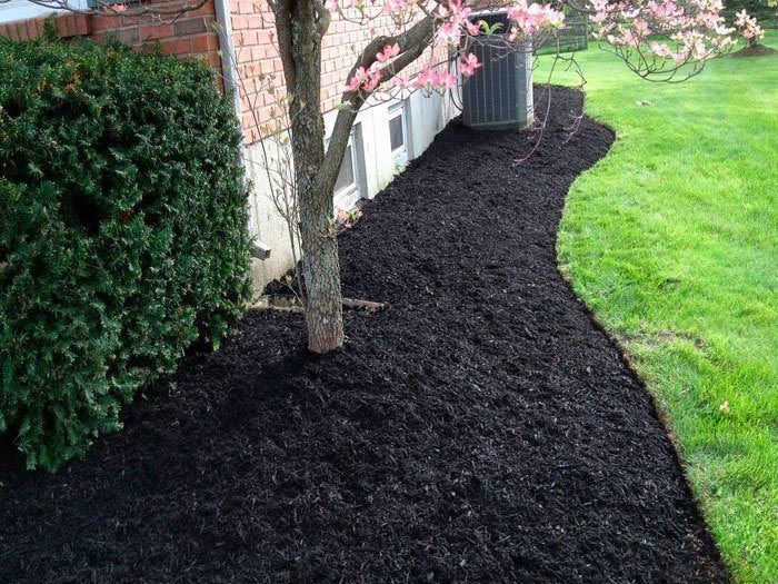 Mulched garden bed beside a brick house with a tree, shrubs, and pink blossoms next to green lawn