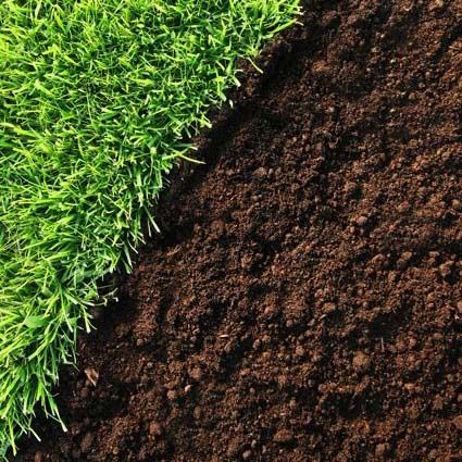 Close-up of green grass beside a patch of dark soil, showing a clean diagonal edge