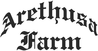 Black text in an Old English-style font reading 