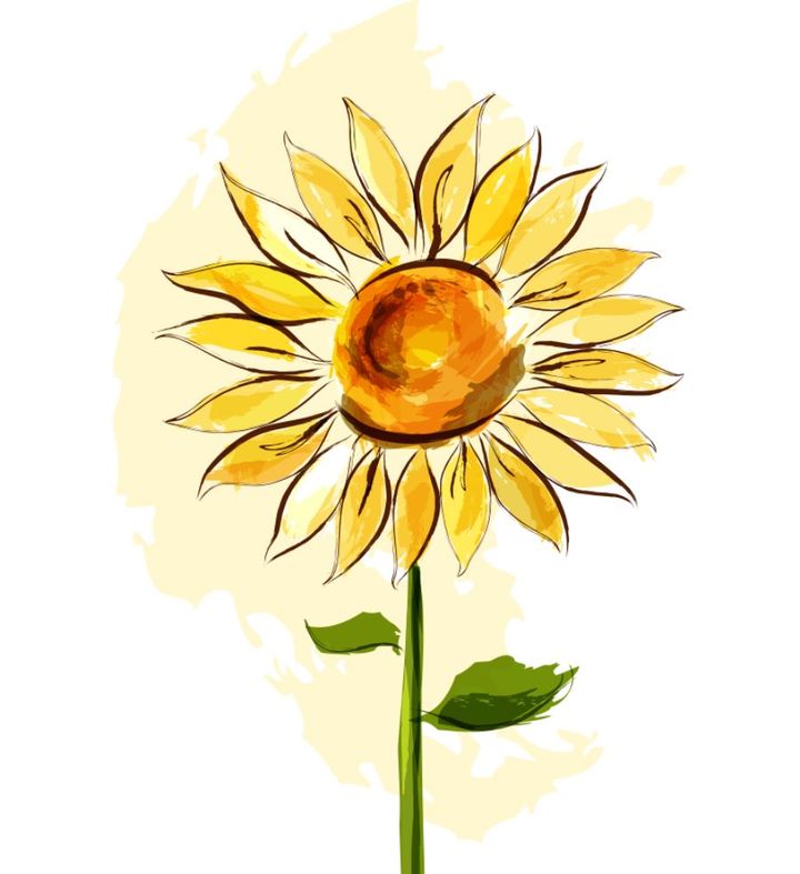 Disegno di un girasole