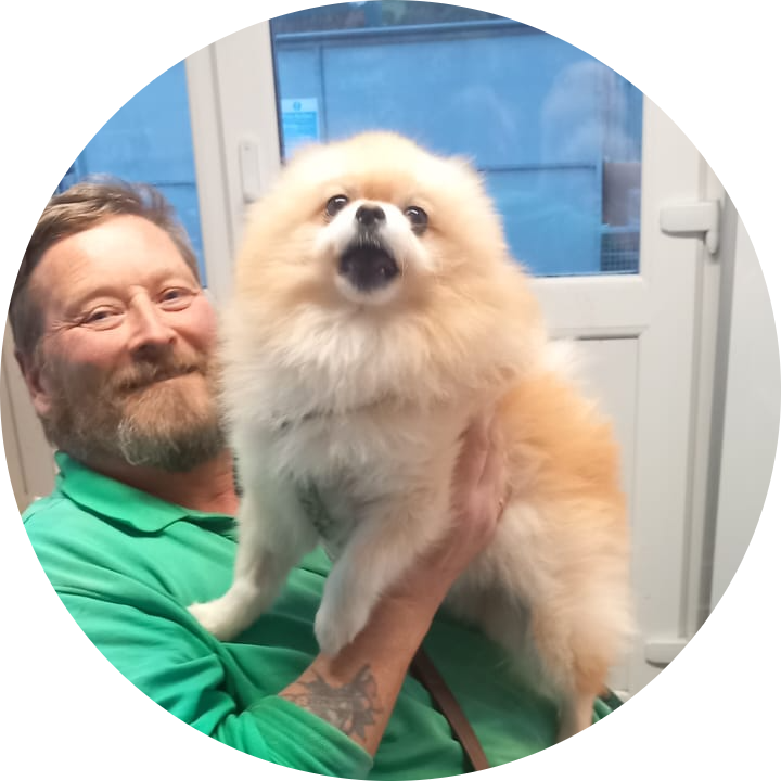 A man in a green shirt is holding a small dog