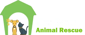 Dog and cat inside a green house, with the words "Animal Rescue" to the right.