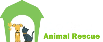 Dog and cat inside a green house, with the words "Animal Rescue" to the right.