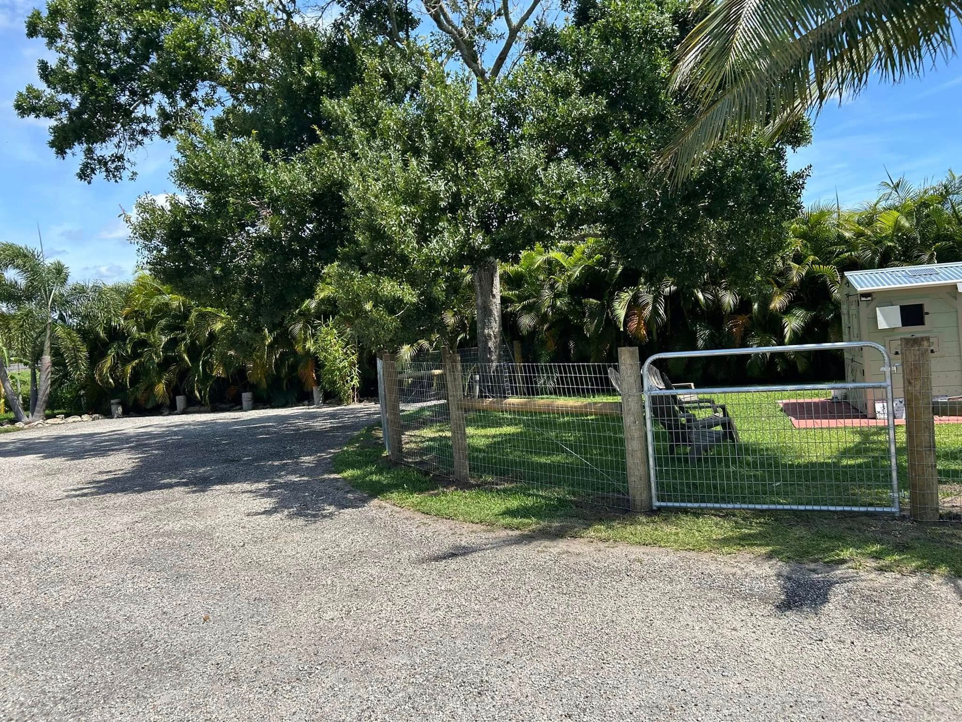 A gravel driveway leading to a fenced in area with trees and a gate.