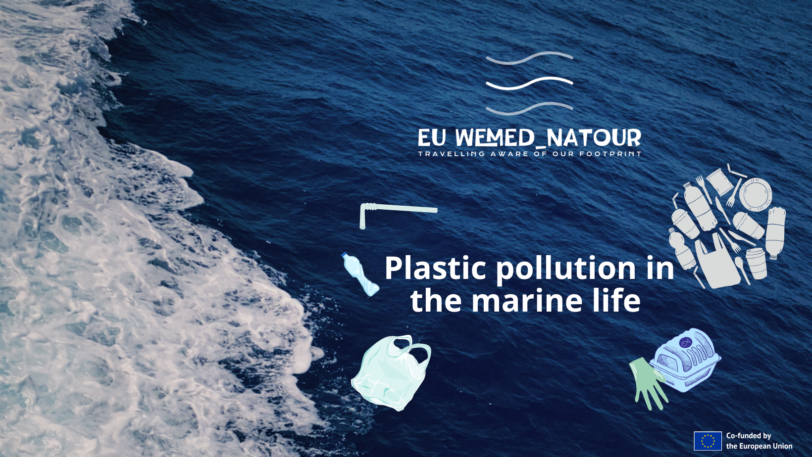 Plastic Ocean Pollution Facts