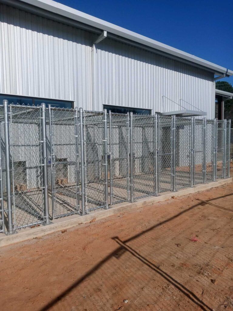 Indoor And Outdoor Kennel Patios — Athens, TX — Veterinary Medical Center of Athens