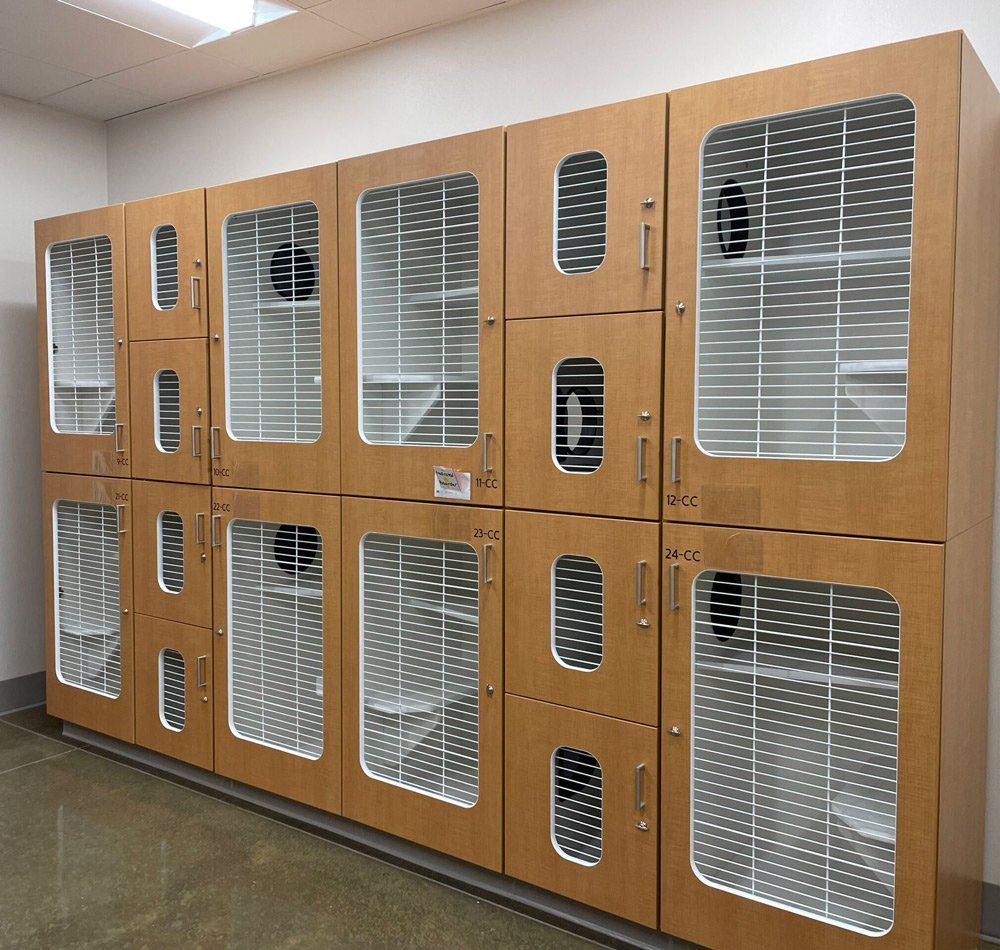 Cat Condos — Athens, TX — Veterinary Medical Center of Athens