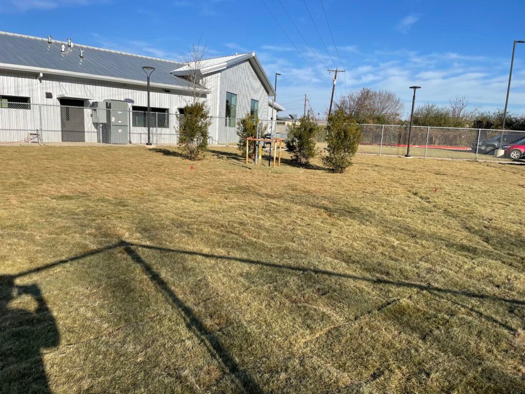 The Backyard — Athens, TX — Veterinary Medical Center of Athens